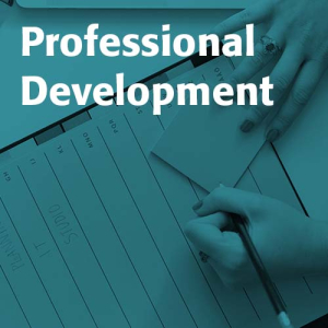 Professional Development